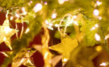 Boston Christmas pl thumb.jpg